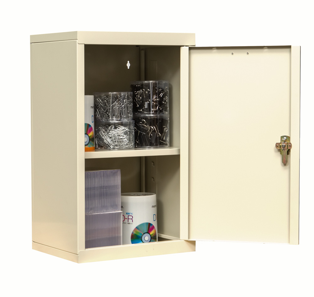 Wall Mount Cabinet with Solid Door 